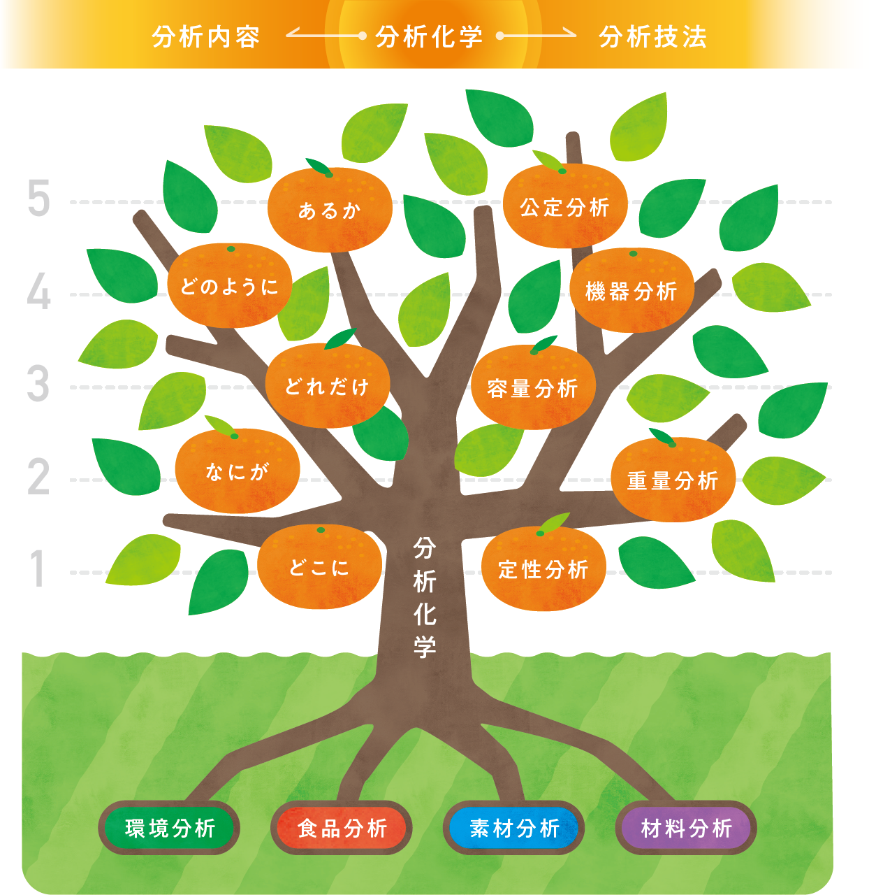 みかんの木