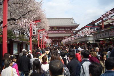f:id:bunseki:20050805151028j:image:left