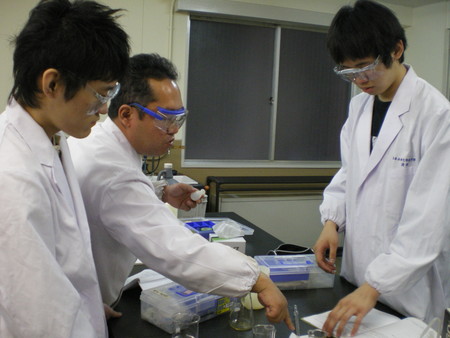f:id:bunseki:20070511100449j:image