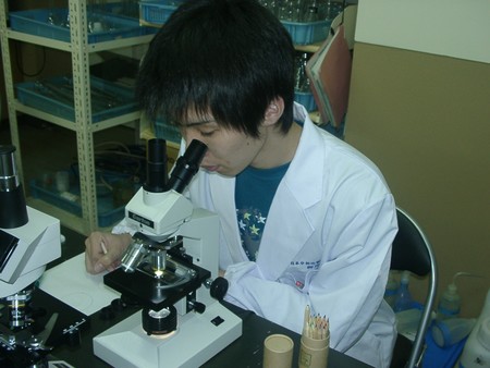 f:id:bunseki:20070511145700j:image