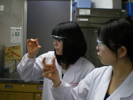 f:id:bunseki:20070525141025j:image