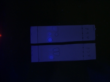f:id:bunseki:20070712145729j:image:right