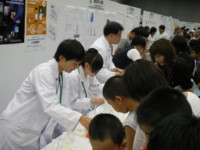 f:id:bunseki:20071107041007j:image