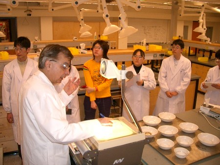 f:id:bunseki:20080221024702j:image
