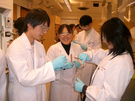 f:id:bunseki:20080221032218j:image