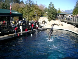 f:id:bunseki:20080306070135j:image