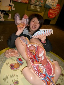 f:id:bunseki:20080309024738j:image