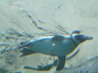 f:id:bunseki:20080404112530j:image