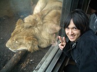 f:id:bunseki:20080404113406j:image