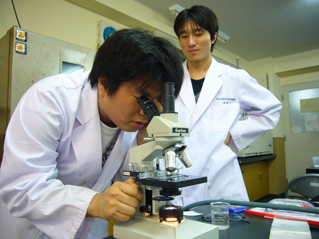 f:id:bunseki:20080502144718j:image,w240