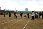 f:id:bunseki:20081003153008j:image