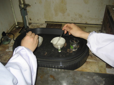 f:id:bunseki:20090528135803j:image