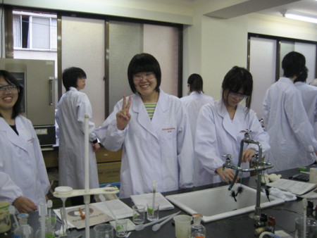 f:id:bunseki:20090528144034j:image