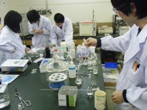 f:id:bunseki:20090602145700j:image