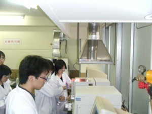 f:id:bunseki:20090602151303j:image