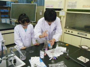 f:id:bunseki:20090608143125j:image:left
