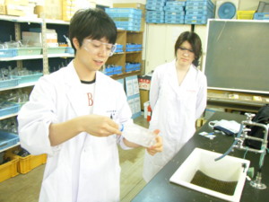 f:id:bunseki:20090608143233j:image:left