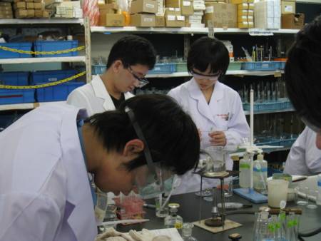 f:id:bunseki:20090609131822j:image