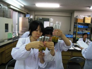 f:id:bunseki:20090611131005j:image