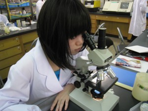 f:id:bunseki:20090611144325j:image