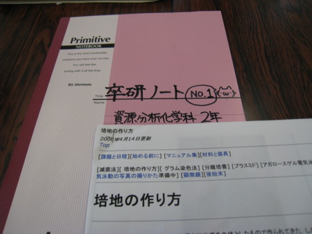 f:id:bunseki:20090612151035j:image