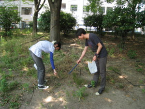 f:id:bunseki:20090617114545j:image
