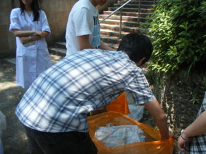 f:id:bunseki:20090617124119j:image