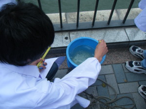 f:id:bunseki:20090629135558j:image