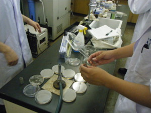f:id:bunseki:20090629142944j:image