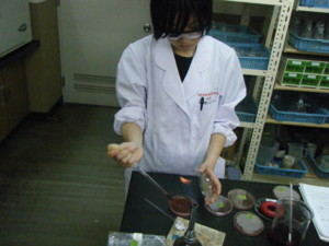 f:id:bunseki:20090629161537j:image