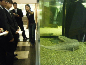 f:id:bunseki:20090702102319j:image