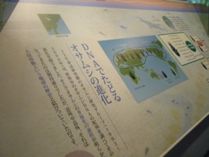 f:id:bunseki:20090702102859j:image