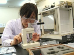 f:id:bunseki:20090727144201j:image
