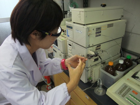 f:id:bunseki:20090808162901j:image