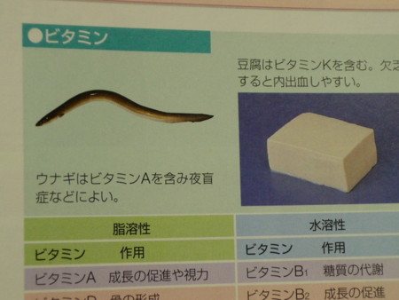 f:id:bunseki:20090809211554j:image,w240