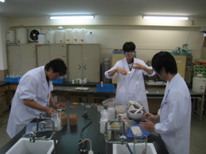 f:id:bunseki:20090914141259j:image