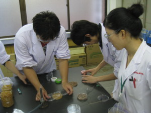 f:id:bunseki:20090914141432j:image