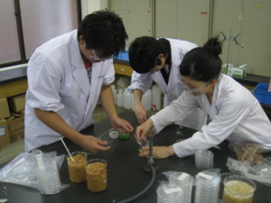 f:id:bunseki:20090914141443j:image