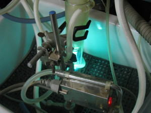 f:id:bunseki:20090915174359j:image
