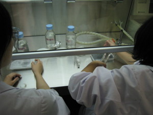 f:id:bunseki:20091015110509j:image