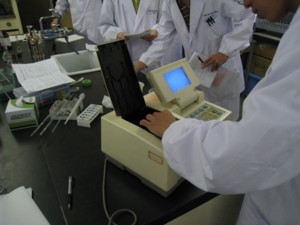 f:id:bunseki:20091019132639j:image