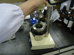 f:id:bunseki:20091023095052j:image