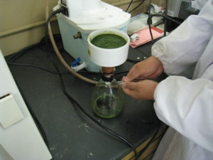 f:id:bunseki:20091023095138j:image