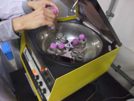 f:id:bunseki:20091101150119j:image