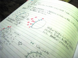 f:id:bunseki:20091110133456j:image