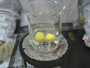 f:id:bunseki:20091121125704j:image
