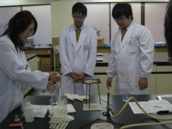 f:id:bunseki:20091124095223j:image