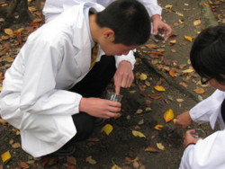 f:id:bunseki:20091124102359j:image