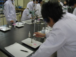 f:id:bunseki:20091124120417j:image