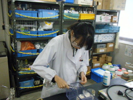 f:id:bunseki:20091127102725j:image